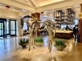 Saint Kate The Arts Hotel Milwaukee Review: Artsy Boutique