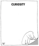 Curiosity & Patience – Keys to Productive Mediations — Benson Mediation, Arbitration, Workplace Investigation