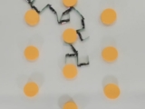 Entangled robotic matter with cohesive motion