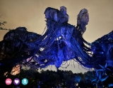 6 Things Not to Miss in Pandora – World of Avatar