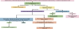 Official journal of the American College of Gastroenterology