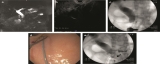 Official journal of the American College of Gastroenterology
