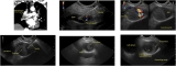 Official journal of the American College of Gastroenterology