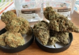 The Strongest THCa Strains Of 2026 | Mind-Blowing Highs