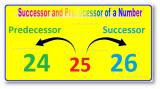 Successor and Predecessor | Successor of a Whole Number, an Integer