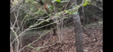 The Importance of Soil Samples for Plant Healthcare | Westover Hills, Texas