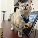 The Love Behind ‘Love, Nala’ — Catster