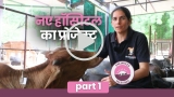 Behind the scenes at Animal Aid: why we need Unlimited Unleashed