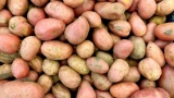 If You Think Potatoes Are Bad for You, These Nutrition Experts Want to Change Your Mind