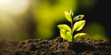 5 Ways Hemp is Boosting India’s Sustainability Movement– The Trost