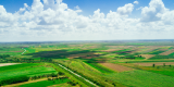 How Hemp Farming is Transforming Rural Economies in India– The Trost