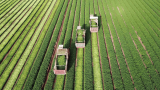 Who Are the Top Agriculture Executive Search Firms?