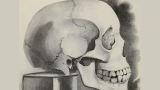 A Hidden Immune Structure Inside the Skull May Be the Body’s First Line of Defense Against Brain Tumors