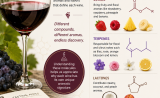 Understanding the Chemistry of Wine Aromas