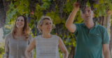 Vino Travels ~ An Italian Wine Blog: Lake Garda in a Glass: Exploring Zeni’s Lugana Wines