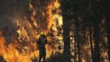 Oakland fined them $915K for preventing fires. That’s 18 times the arson penalty
