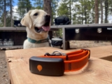 Our Expert’s Opinion — Dogster