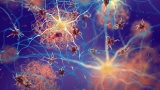 Simple molecule shows remarkable Alzheimer’s reversal in rats