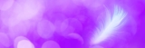 Angel Number 000 … What Does It Mean?