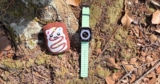 Apple Watch, Journal app, and my plush Pop-Tart