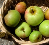 Feeding My Enthusiasms: Grandad’s Applesauce Cake