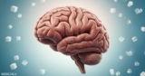 Artificial Sweeteners Tied to Faster Brain Aging and Decline