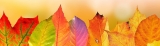 A Simple Autumnal Equinox Ritual