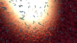 Scientists tested 39 sweeteners and found unexpected gut effects