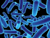 European project receives €15 million to study phage-based therapies