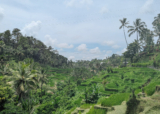 The Perfect 3 Day Ubud Itinerary For First Time Visitors