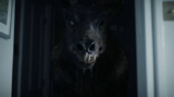 5 Horror Movies on Tubi You Should Watch Tonight