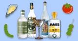 10 of the Best Savory Gins for Dirty Martinis