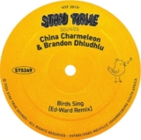 China Charmeleon, Brandon Dhludhlu & Ed-Ward – Birds Sing (Ed-Ward Remix) »» Fakaza
