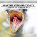Birds That Represent Strength: Unlock Their Power
