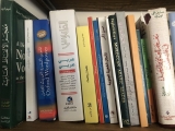 Reaching for a New Concept of Language