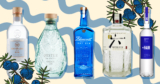 The 30 Best Gins for 2026