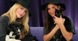 Sandra Bullock and Nicole Kidman Fall for Adoptable Pets and Make One Request