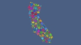 California Cannabis Packaging Regulations | Sana Packaging