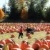 Commercial Roofing Seattle: Property Owner Planning Guide