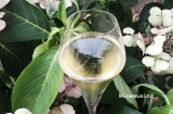 More English Sparkling wines ….