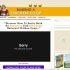 Ennora: Premium Meditation Programs for Consciousness & Brain Power