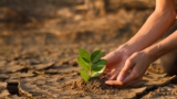 7 Climate Education Video Lessons for Classrooms