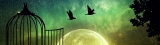 Free Yourself From This HUGE Collective Consciousness Trap