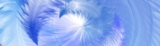 Steps For Connecting With Angels!