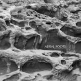 Mo Farzaneh ~ Aerial Roots