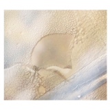 Appleblim ~ Liminal Tides | a closer listen