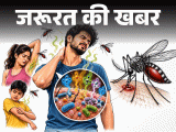 Body Odor Mosquito Attraction; Skin Microbiome Study Explained