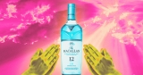 How The Macallan Became a Cult Scotch Whisky