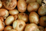 How To Dry Onions At Home For Longterm Storage