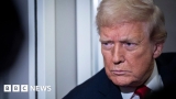 Trump releases fraudster executive days into prison sentence